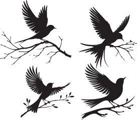 set of silhouettes of birds