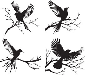 set of silhouettes of birds 