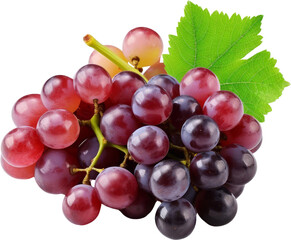 Fototapeta premium Close-up of a vibrant cluster of fresh red and black grapes with a green leaf, showcasing a healthy and delicious fruit.