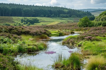 conservation area with protected habitats