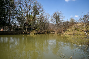 Landscape near a lake in the Kharkov region in early spring