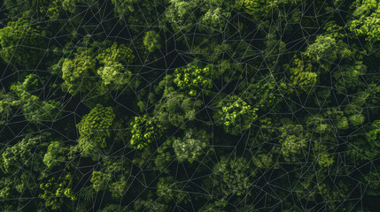 Aerial view of lush forest with an overlay of interconnected lines forming a network pattern.