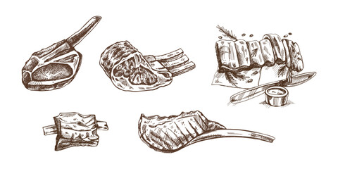 Organic food. Hand-drawn vector sketches of pork, ribs, beaf, lamb ribs, piece of meat, set. Doodle vintage illustration. Decorations for the menu of cafes and labels. Engraved image. © Mariia Mazaeva