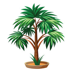 Obraz premium palm plant white background 