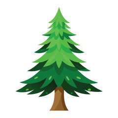 Fototapeta premium green christmas tree