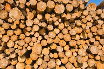 high stacked logs, timber industry, close-up