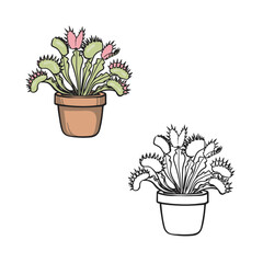venus fly trap drawing with line art style. Simple design outline style. Easy to edit. Cartoon flower vector illustration © Nurul