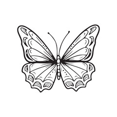 Beautiful realistic butterfly with dots in black isolated on white background. Hand drawn vector sketch illustration in doodle engraved line art vintage style. Tattoo design, lightness, flying insect.