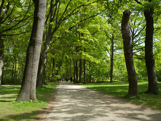 Berlin, Germany, April 27th 2024, Tiergarten park pathway in central Berlin