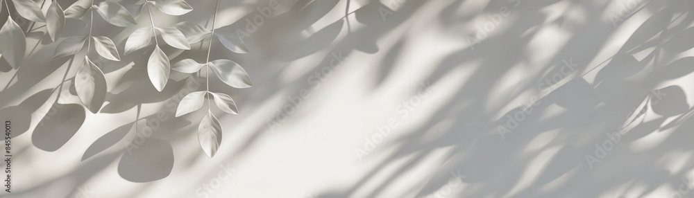 Aufkleber abstract background with soft shadows of leaves on a white wall, creating a serene and minimalist ae