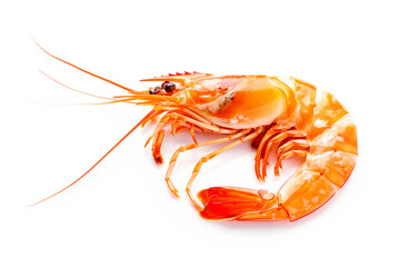 Red cooked tiger king prawn or shrimp isolated on white background with clipping path