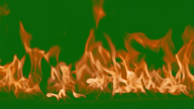 Abstract flames background. Fire burning, tongues of fire. Bright burning flames green chromakey background. Fire in slow motion. Wall of Real fire, abstract background. Super slow motion video