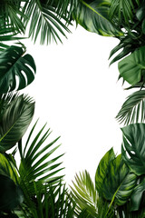 PNG Jungle backgrounds outdoors nature.