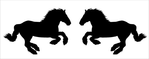 Illustration of the galloping draft horse.  Vector silhouette of heavy horses. 
