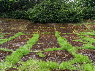 Old Brooklands Motor Racing Circuit Banking, Weybridge, UK