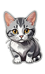 Domestic Shorthair cute little cat