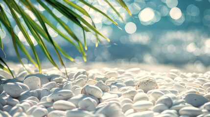 Close-Up of White Pebbles on a Sunlit Beach
