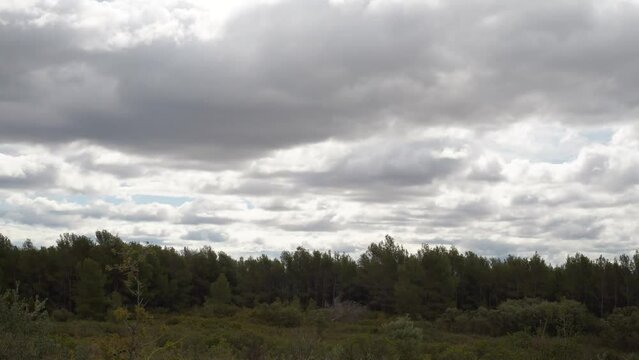 Time lapse of a Mediterranean forest with rain clouds moving. Typically Mediterranean forest and bush scene