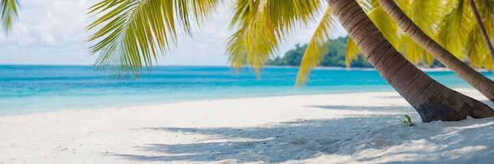  serene beauty of a tropical beach with this panoramic photo featuring lush coconut palm trees. Perfect for travel, vacation, and paradise-themed content, captures the essence of a tropical getaway.