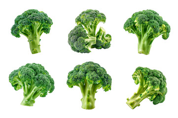 Broccoli Collection Bundle Set Isolated on a Transparent Background