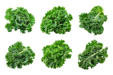 Obraz premium Kale Collection Bundle Set Isolated on a Transparent Background