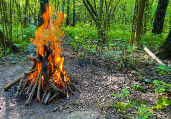 Bonfire in the forest, space for text on the right.