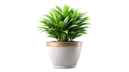 House Realistic Plants isolated on transparent background