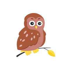 Cute forest owl. Wild forest bird sitting on branch, brown owl cartoon vector illustration