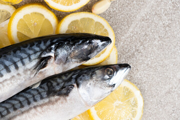 Uncooked mackerel sea fish with lemons and garlic, culinary recipe