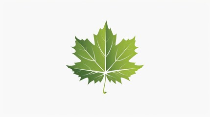 Autumn maple leaves logo icon in green color isolated on white background