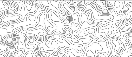 White topology and topography vector design abstract background contour map texture for print works