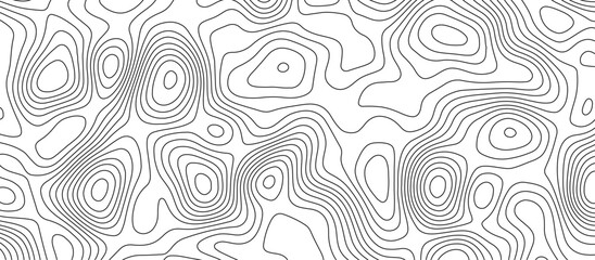 Fototapeta premium White topology and topography vector design abstract background contour map texture for print works