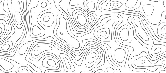 White topology and topography vector design abstract background contour map texture for print works