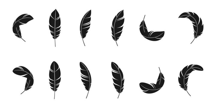 Fototapeta Bird feather icon set. vector illustration isolated on white background.