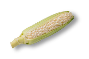 皮を剥いた美味しそうな白いトウモロコシ