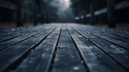 The perspective of a wooden boardwalk draws the viewer into a mysterious and moody forest setting