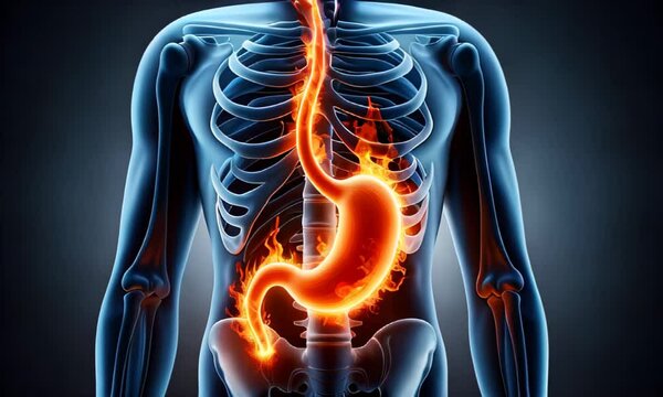human digestive system, highlighting the stomach with glowing orange and yellow lights against a dark background