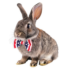 Fototapeta premium Rabbit wearing American flag bow tie on a transparent background clipart