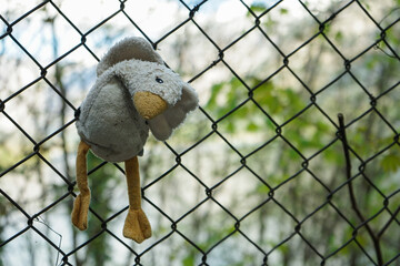A stuffed animal is hanging from a chain link fence
