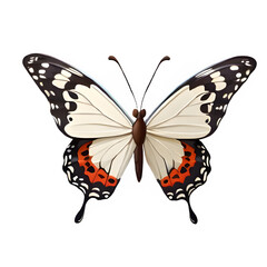 Fototapeta premium High-Quality PNG Transparent Butterfly Image for Design Projects