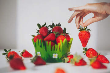 Female hand holds a big strawberry. Woman takes or puts one strawberry in fruit basket full of...