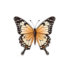 Obraz premium High-Quality PNG Transparent Butterfly Image for Design Projects