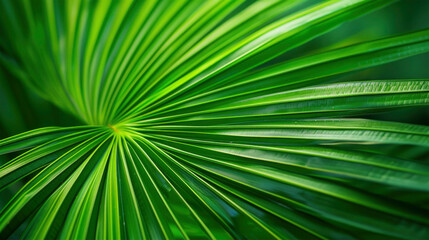 Obraz premium Abstract luxurious elegant floral organic texture wallpaper illustration, green natural palm leaf as background