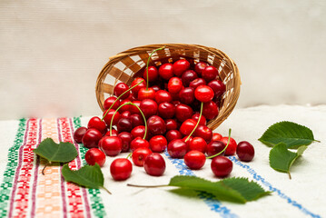 Basket with cherries scattered on an ornament