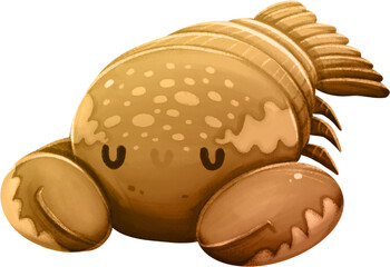 Zodiac Sign - Hand Drawn Illustration - Cancer