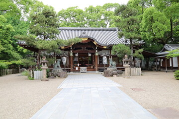 Fototapeta premium A Japanese shrine : a scene of the precincts of Kumata-jinjya Shrine in Osaka City in Japan