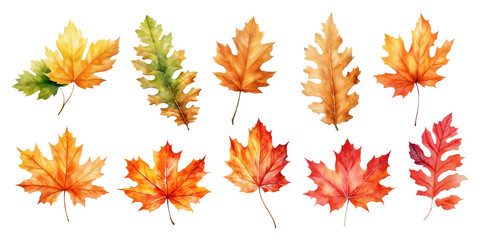 Watercolor autumn leaves set