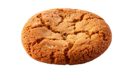 Photograph of a single ginger snap cookie isolated on a pure white background