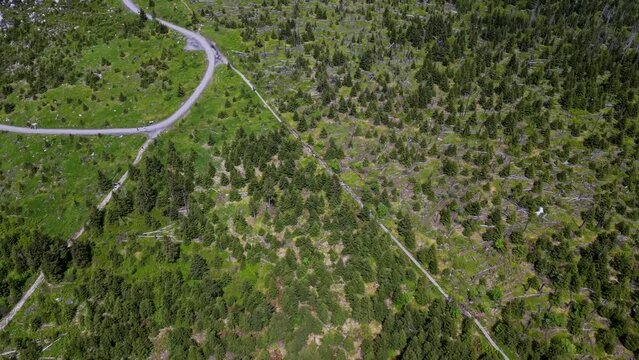 Nationalpark Sumava, B&ouml;hmerwald