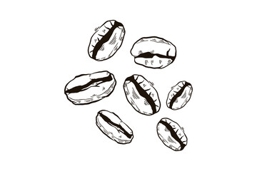 Coffee beans floating in the air hand drawn line sketch drawing vector illustration